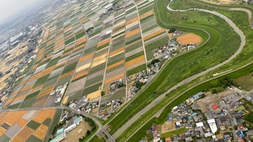 ウイニングバルーンクラブに投稿された画像（2022/6/25）