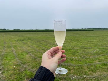 ウイニングバルーンクラブに投稿された画像（2022/6/25）