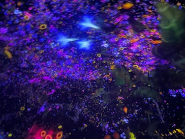 チームラボプラネッツ TOKYO DMMに投稿された画像（2022/6/25）