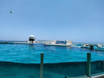 鴨川シーワールドに投稿された画像（2022/6/25）