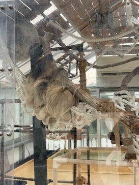 大分マリーンパレス水族館 「うみたまご」に投稿された画像（2022/6/25）