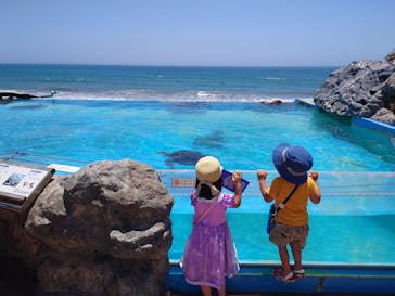 鴨川シーワールドに投稿された画像（2022/6/25）