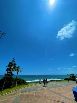 鴨川シーワールドに投稿された画像（2022/6/25）