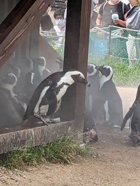 名古屋港水族館に投稿された画像（2022/6/25）