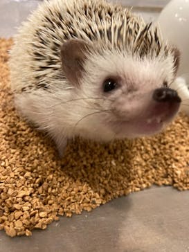 HARRY　原宿駅前店に投稿された画像（2022/6/25）