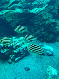 仙台うみの杜水族館に投稿された画像（2022/6/25）