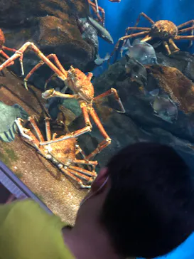 仙台うみの杜水族館に投稿された画像（2022/6/25）