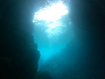 武藤潜水に投稿された画像（2022/6/25）