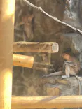 よこはま動物園ズーラシアに投稿された画像（2022/6/25）
