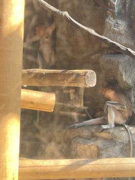 よこはま動物園ズーラシアに投稿された画像（2022/6/25）