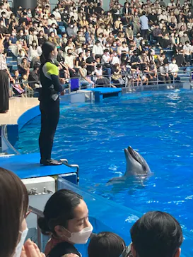 マクセル アクアパーク品川に投稿された画像（2022/6/25）