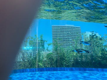 サンシャイン水族館に投稿された画像（2022/6/25）