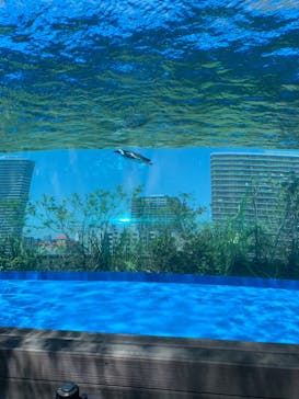 サンシャイン水族館に投稿された画像（2022/6/25）