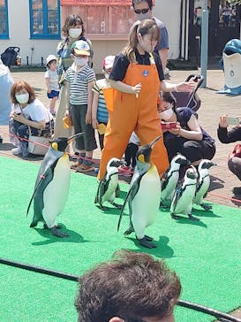 登別マリンパークニクスに投稿された画像（2022/6/25）