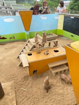 淡路ファームパーク イングランドの丘に投稿された画像（2022/6/25）