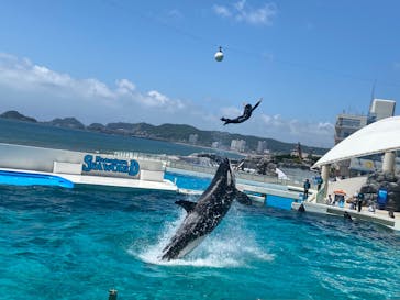 鴨川シーワールドに投稿された画像（2022/6/25）