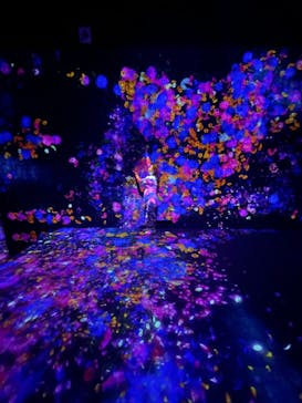 森ビル デジタルアート ミュージアム：エプソン チームラボボーダレスに投稿された画像（2022/6/25）