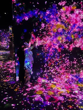 森ビル デジタルアート ミュージアム：エプソン チームラボボーダレスに投稿された画像（2022/6/25）