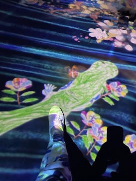 森ビル デジタルアート ミュージアム：エプソン チームラボボーダレスに投稿された画像（2022/6/25）