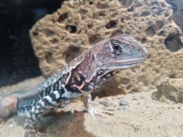 体感型動物園iZooに投稿された画像（2022/6/25）