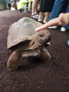 体感型動物園iZooに投稿された画像（2022/6/25）