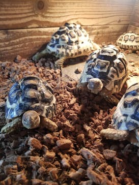 体感型動物園iZooに投稿された画像（2022/6/25）