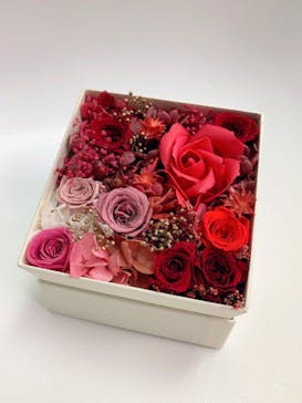 ずこうしつ〜sugamo〜に投稿された画像（2022/6/25）