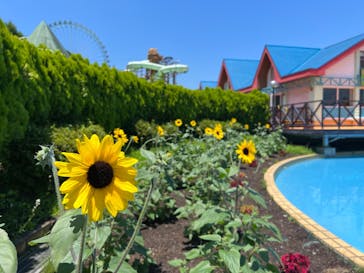 東京サマーランドに投稿された画像（2022/6/25）