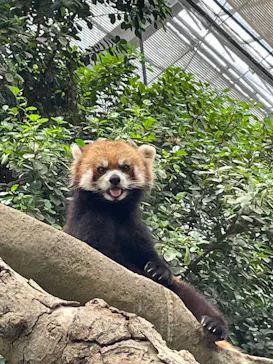 神戸どうぶつ王国に投稿された画像（2022/6/25）