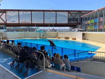 伊豆・三津シーパラダイスに投稿された画像（2022/6/25）