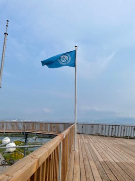 シー・ドラグーンに投稿された画像（2022/6/25）