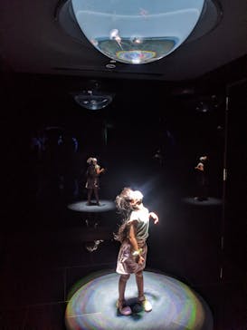 サンシャイン水族館に投稿された画像（2022/6/25）