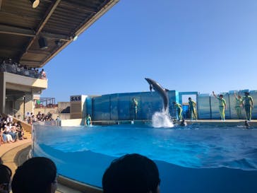 新江ノ島水族館に投稿された画像（2022/6/25）