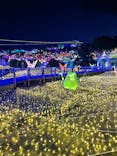 伊豆ぐらんぱる公園に投稿された画像（2022/6/25）