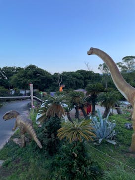 伊豆ぐらんぱる公園に投稿された画像（2022/6/25）