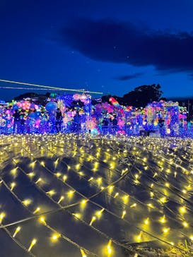 伊豆ぐらんぱる公園に投稿された画像（2022/6/25）