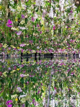 チームラボプラネッツ TOKYO DMMに投稿された画像（2022/6/25）