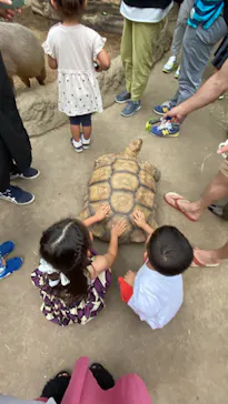 神戸どうぶつ王国に投稿された画像（2022/6/25）