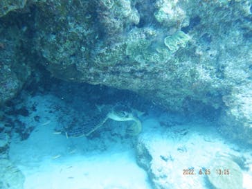 カイザーマリンクラブに投稿された画像（2022/6/25）