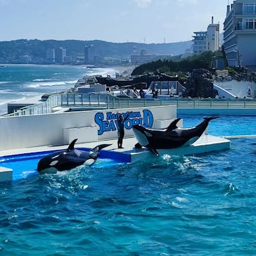 鴨川シーワールドに投稿された画像（2022/6/25）