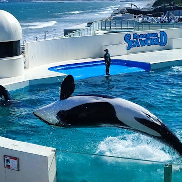 鴨川シーワールドに投稿された画像（2022/6/25）