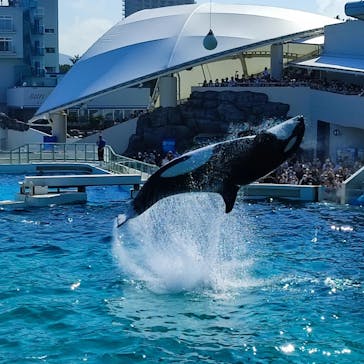 鴨川シーワールドに投稿された画像（2022/6/25）