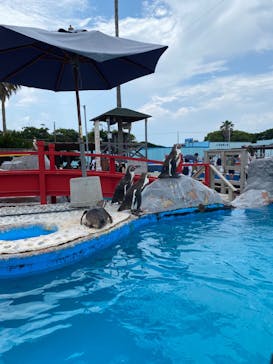 南知多ビーチランド＆南知多おもちゃ王国に投稿された画像（2022/6/25）