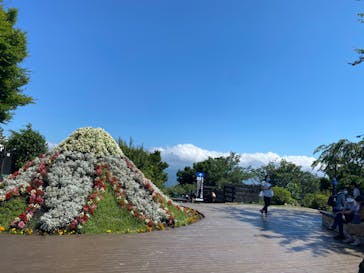 伊豆パノラマパークに投稿された画像（2022/6/25）