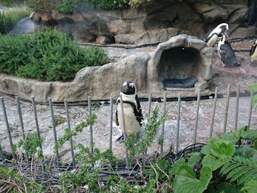 サンシャイン水族館に投稿された画像（2022/6/25）