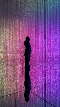 森ビル デジタルアート ミュージアム：エプソン チームラボボーダレスに投稿された画像（2022/6/26）