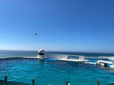 鴨川シーワールドに投稿された画像（2022/6/26）