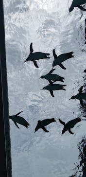 九十九島動植物園森きららに投稿された画像（2022/6/26）