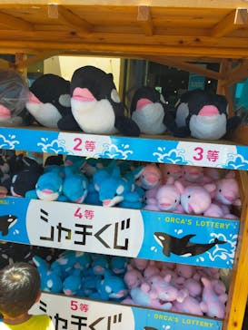 鴨川シーワールドに投稿された画像（2022/6/26）