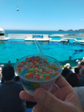 鴨川シーワールドに投稿された画像（2022/6/26）